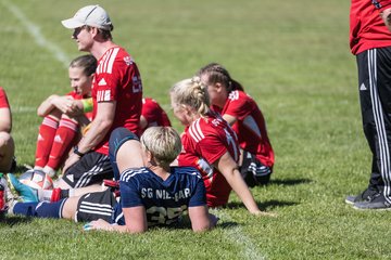 Bild 466 - F SG NieBar - IF Stjernen Flensborg : Ergebnis: 2:0